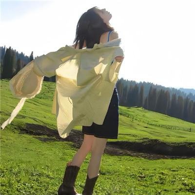 杨六郎智破连环计 在线观看